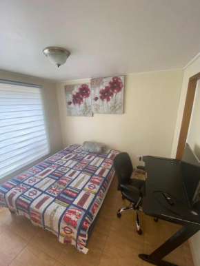 Viaggi hostal
